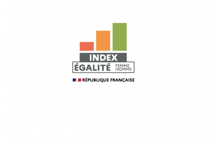 Index Egalite Professionnelle